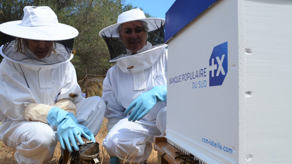 Parrainage de ruche d'entreprise avec le logo de la banque populaire du sud et les 2 apiculteurs