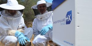 Parrainage de ruche d'entreprise avec le logo de la banque populaire du sud et les 2 apiculteurs