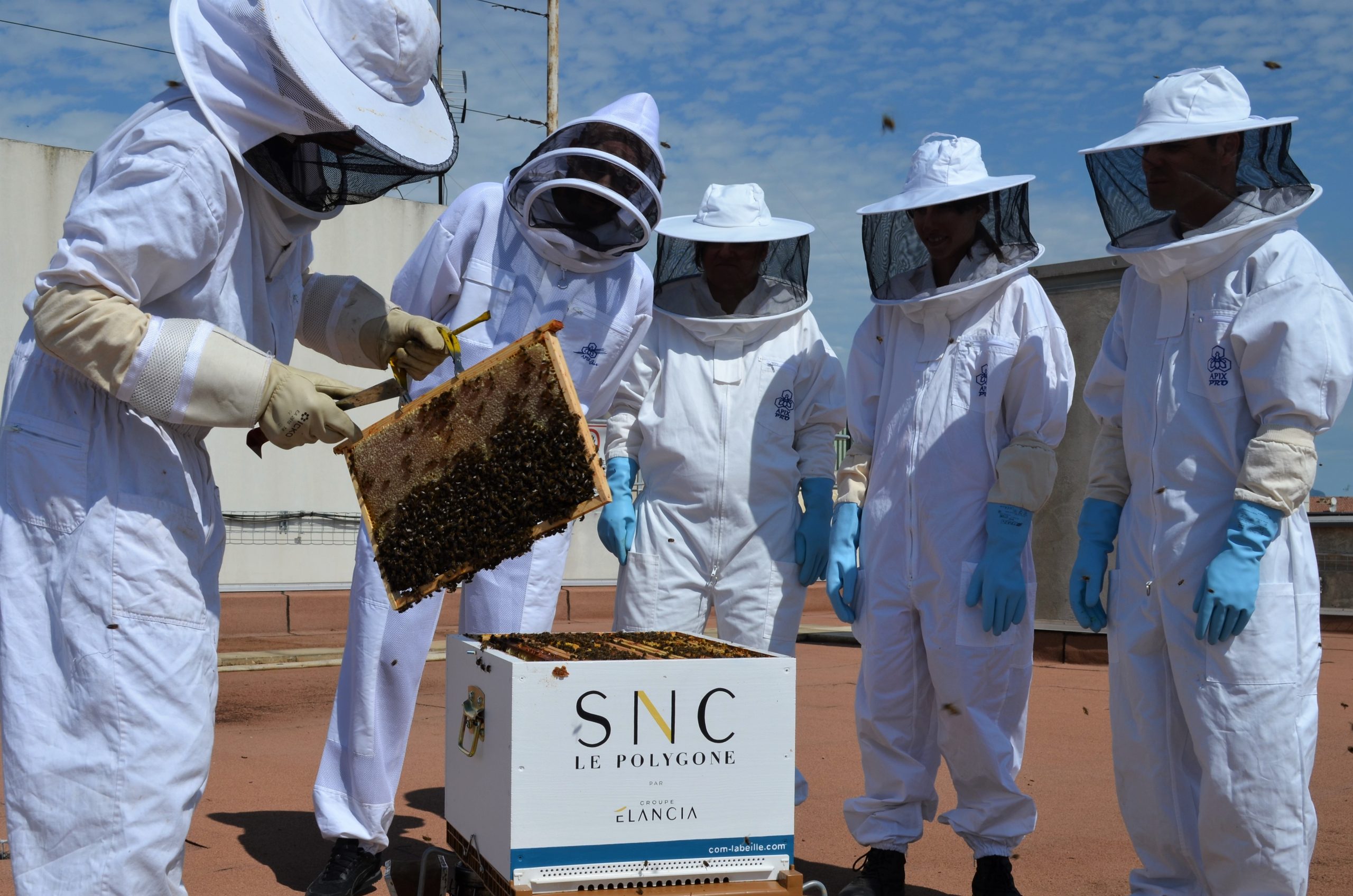 Visite apicole du Rucher Groupe Elancia sur le toit du Polygone Montpellier par Com-labeille avec 5 apiculteurs en conbinaison