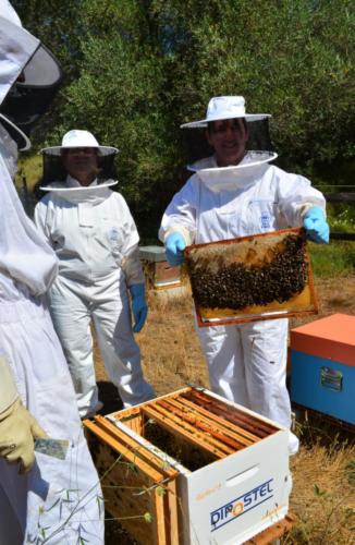 13.Visite apicole juin 22