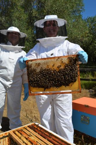 14.Visite apicole juin 22